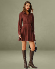 Brick Red A-Line Pleated Mini Dress