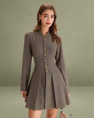 Brown Buttoned Pleated Mini Dress