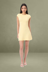 Savannah Mini Dress