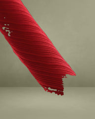 Red A-Line Slip Mini Dress