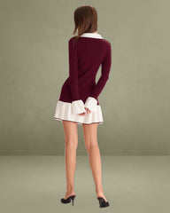 Wine Red Contrasting Sweater Dress