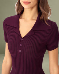 Wine Red Bodycon High Stretch Sweater Dress